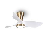 Home Decorators Collection Living Room Fans