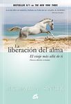 La liberación del alma: El viaje más allá de ti mismo (Advaita) (Spanish Edition)