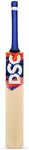 DSC Krunch 33 Men's Kashmir Willow Cricket Bat