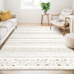 Large Living Room Area Rug 5x7: Sof