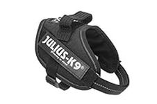 Julius-K9, 16IDC-P-M, IDC Powerharness, dog harness, Size: S/Mini, Black