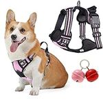 Belababy Dog Vest Harnesses, No Pull Dog Harness Small Dog Front Clip Dog Harness with Front Back Clips, Reflective Adjustable Soft Padded Dog Puppy Harness with Lovely Bells, Pink