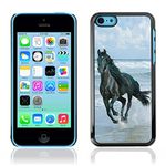 Graphic4You Black Horse Running On The Beach Design Thin Slim Rigid Hard Case Cover for Apple iPhone 5C