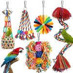 Bird Toys