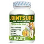 JOINTSURE YOUNG & ACTIVE Joint Supplements for Dogs and Puppies - Pack of 120 Tablets - Supports Mobility and Prevents Joint Stiffness - High Levels of Glucosamine & Green Lipped Mussel