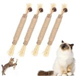 Cat Chew Toys