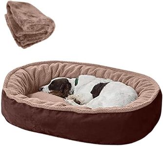 ZENIPUP Premium Dog Bed with Free Blanket for Small, Medium & Large Dogs | Soft Fur Orthopedic Washable Pet Bed with Fiber Filling | Anti Slip Calming Dog Mattress for Puppies & Adult Dogs (3XL)
