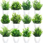 Dekorly Plastic Artificial Plants Small Fake Potted Plants, Mini Eucalyptus Potted Faux Decorative Grass Plant With White Pot For Home Decor, Indoor, Office, Desk, Shelf, Table Decoration|Pack Of 12