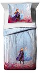 Disney Comforter Sets