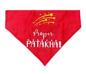 Diwali Dog Bandana: Proper Patakha Bandana for Pets