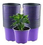 LATERN 50Pcs 15cm Plastic Plant Flower Pots, Purple Lightweight Seed Starting Pots Nursery Seedlings Pots Flower Plant Container (15 x 13cm)