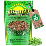 Mumm's Sprouting Seeds - Broccoli Brassica Mixed Blend - 200 GR - Sprout Your Own Organic Microgreen - Easy Sprouter Kit