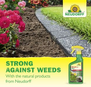 Neudorff WeedFree Plus Weed Killer Concentrate, 1020ml