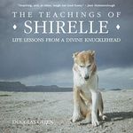 The Teachings of Shirelle: Life Lessons from a Divine Knucklehead