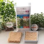 Variety Pack Microgreen Grow Kit with Reusable Tray. Grow 4 Different Kinds of microgreens at Home: Peas Please, Sweet Greens, Tangy Choy and Zesty Radish.