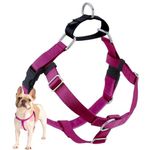 2 Hounds Design Freedom No Pull Dog Harness | Adjustable Gentle Comfortable Control for Easy Dog Walking | for Small Medium and Large Dogs | Made in USA | Leash Not Included | 1" XL Raspberry