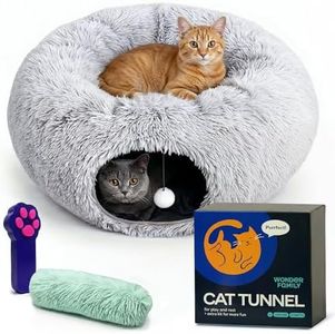Cat Tunnel