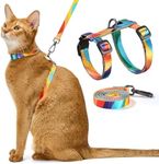 Cat Harness and Leash Set - Escape 