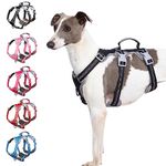 Chew Proof Dog Harness