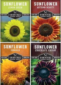 Survival Garden Seeds Decorative Sunflower Collection Seed Vault - Autumn Beauty, Dwarf Sungold, Chocolate Cherry, and Lemon Queen Sunflower Seeds - Non-GMO Heirloom Seeds for Planting & Growing