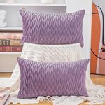 Madizz Pack of 2 Super Soft Velvet Decorative Cushion Covers with Texture Luxury Style Throw Pillow Cases Pillow Shell for Sofa Bedroom Violet 12x20 inch Rectangular