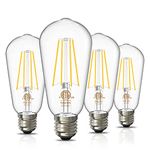 White Edison Bulbs