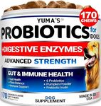 Probiotics for Dogs and Digestive Enzymes - 170 Dog Probiotics Chews - Dog Probiotic - Anti Diarrhea, Upset Stomach & Gas Relief, Constipation, Canine Prebiotic - Pet Fiber Supplement - Gut Health