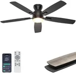 Ohniyou Ceiling Fans with Lights, 5