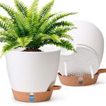 T4U Self Watering Pots 8 Inch 2 Pack, Planters with Water Level Window and Wick Rope for Busy People, High Capacity Reservoir for Monstera, Snake Plant and Peace Lily, Indoor Outdoor Decor(White)