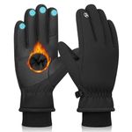 TOLEMI -20℉ Waterproof Ski Gloves, 3M Thermal Touchscreen Insulated Gloves for Snowboarding, Cycling, Running, Climbing, Hiking, Outdoor Sports (Black, L)