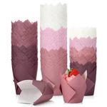 Havawish 500 Pcs Gradient Pink Tulip Cupcake Liners, Cupcake Baking Liners in Standard Size Greaseproof Cupcake Wrappers Muffin Liner Holders for Baking Cups Bridal Baby Shower Wedding Birthday Party