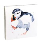 Museums & Galleries Symon Kaye Watercolour Animals Pack of 8 Square Art Greeting Cards with White Envelopes