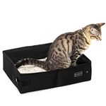 Cat Subscription Box