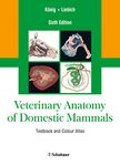 Veterinary Anatomy of Domestic Mammals: Textbook and Colour Atlas, Sixth Edition