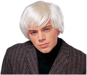 Costume Culture Men's Artist Wig - White -