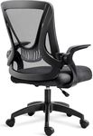 Blisswood Office Desk Chair, Ergono