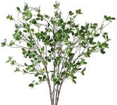 (5 Pcs) - Htmeing Artificial Eucalytus Green Branches Faux Ficus Twig Home Office Shop Decoration (5 pcs)