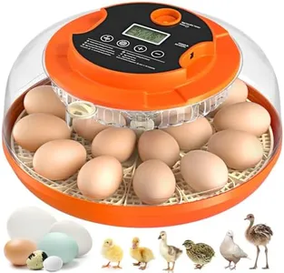18 Egg Incubator with Automatic Egg Turning and Humidity Control, Incubators for Hatching Eggs, Chicken, Ducks, Goose, Pigeon, Quail, Parrot Incubator for Farm, Lab, Science Classroom, Home (Orange)