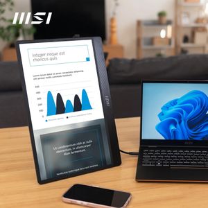 MSI PRO MP161 15.6" Full HD Portable Monitor – IPS, 60Hz, USB-C, Mini-HDMI