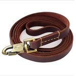 Types Of Dog Leashes