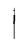 Apple Lighting to 3.5mm Audio Cable