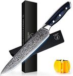 [8-Inch]Chef Knife FANTECK Professional Damascus Chef Knife High Carbon Ultra Sharp VG-10 Damascus Stainless Steel 67 Layers Kitchen Meat Cutting Gyuto Chef Knife [Gift Box]- Ergonomic Blue G10 Handle