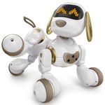 Ruko 18011 Smart Robot Dog, Interactive Puppy with 30 LED Expressions, Programmable Play, 2.4 GHz Remote & Gesture Control, Toy for Kids Age 3+, White Gold