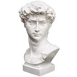 LAIKEARTS Greek Statue David Sculpt