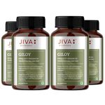 Jiva Giloy - 60 * 4 Capsule for Digestion | 100% Pure & Natural | Ageing and Immunity Boost | Herbal Supplements | Rich In Antioxidants