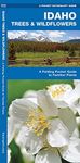 Idaho Trees & Wildflowers: A Folding Pocket Guide to Familiar Species (Wildlife and Nature Identification)