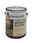 Americrete Efflorescence Remover - 