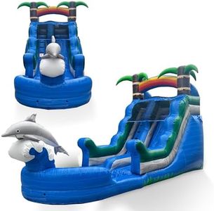 Dolphin In