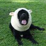Onmygogo Funny Sheep Costumes for D