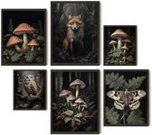 EXCOOL CLUB Dark Cottagecore Decor - 12x16 Cottage Core Room Decor, Dark Academia Wall Art, Fantasy Nature Wall Decor Botanical Mushroom Prints, Moody Fox Posters Forest Decor for Bedroom (Unframed)